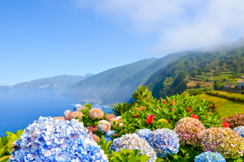 THE VIEWS OASIS 4 * - Madeira, Portugalija